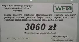 Fotka nr 1 z 8