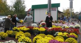 Wybór chryzantem i zniczy przy zambrowskich cmentarzach jest ogromny, 30.10.2008 r.,...