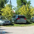 zdjęcie nr 30