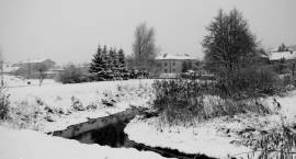 zdjęcie nr 8