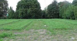 Cmentarz Żołnierzy Radzieckich