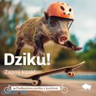 zdjęcie nr 7