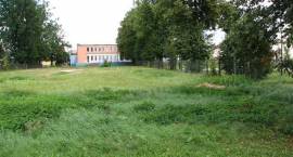 zdjęcie nr 9