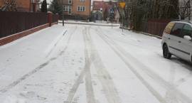 zdjęcie nr 11