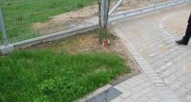 zdjęcie nr 16