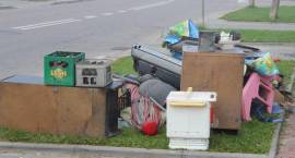 zdjęcie nr 7