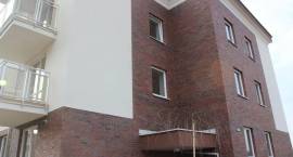 zdjęcie nr 11