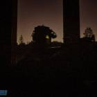 Fotka nr 4 z 11