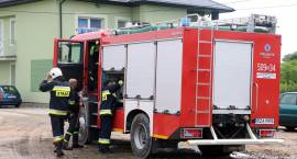 zdjęcie nr 12