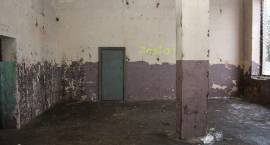 Remont hall produkcyjnych w ramach rozbudowy Parku Przemysłowego etap II