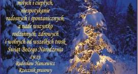 zdjęcie nr 14
