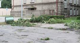zdjęcie nr 31