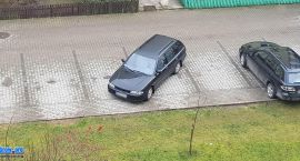 Fotka nr 2 z 42