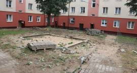 zdjęcie nr 10
