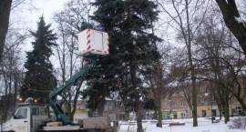 Świąteczne ozdoby znikają z ulic Zambrowa