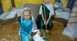 zdjęcie nr 15