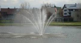 zdjęcie nr 7