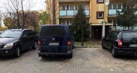 zdjęcie nr 17