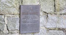 zdjęcie nr 36