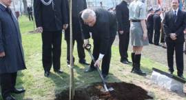 zdjęcie nr 26