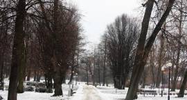 zdjęcie nr 26