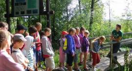 Piknik Rodzinny uczniów Szkoły Podstawowej w Starym Zakrzewie