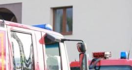 zdjęcie nr 42