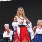 zdjęcie nr 223