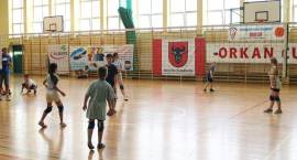 zdjęcie nr 42