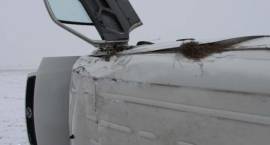 Skutki wypadku przed Wiśniewem w dn. 18.02.2011 r.