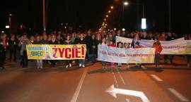 zdjęcie nr 16