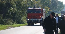 zdjęcie nr 8