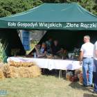 zdjęcie nr 41