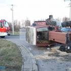 Fotka nr 2 z 11