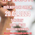 Fotka nr 2 z 6