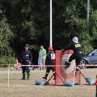 zdjęcie nr 13