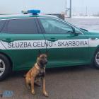 Fotka nr 5 z 6