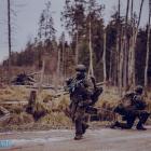 Fotka nr 3 z 13
