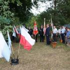 zdjęcie nr 24