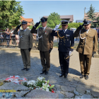zdjęcie nr 13