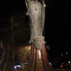 zdjęcie nr 71