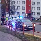 Fotka nr 2 z 12