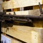 Fotka nr 2 z 54
