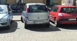 zdjęcie nr 7