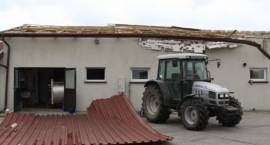zdjęcie nr 17