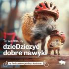 Fotka nr 1 z 17