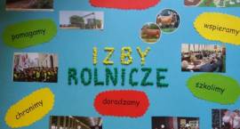 Fotka nr 0 z 13