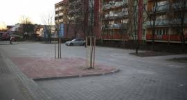zdjęcie nr 21