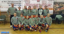 Fotka nr 0 z 19