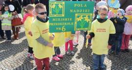 Niedziela pod znakiem żonkila – akcja „Pola Nadziei” w Zambrowie